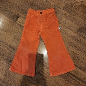 Charlie Rocket 3T orange couderoy pants